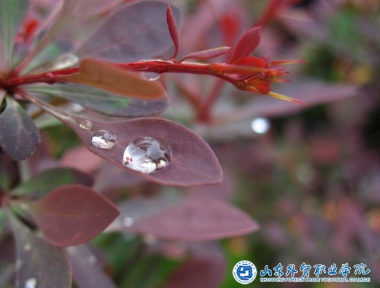 楊凱 (12國貿2)微觀(guān)世界.jpg 楊凱 (12國貿2)微觀(guān)世界.jpg
