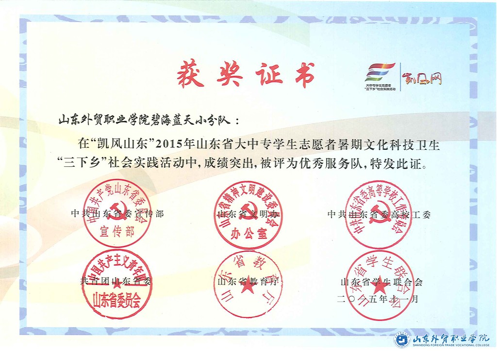 省級優(yōu)秀服務(wù)團隊“碧海藍天小分隊”.jpg